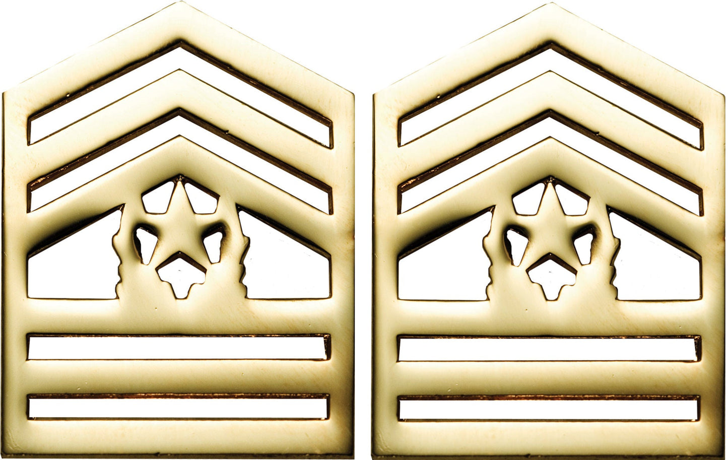 U.S. Army ROTC Rank - No Shine Pin-on Metal Rank Insignia