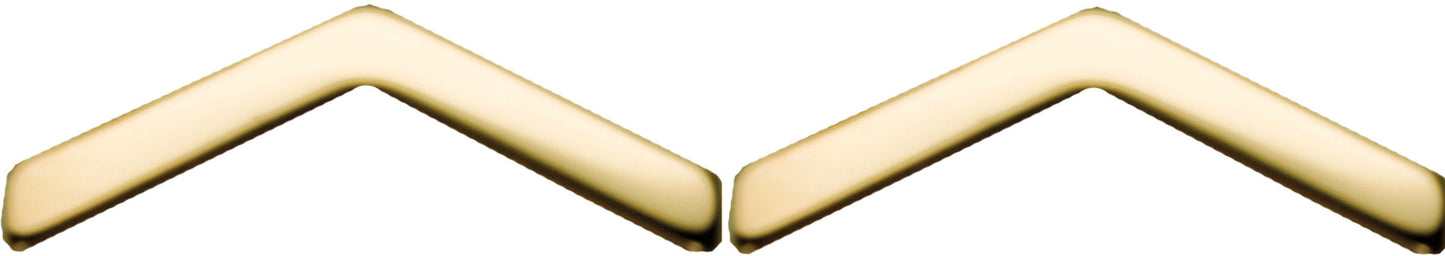 U.S. Army ROTC Rank - No Shine Pin-on Metal Rank Insignia
