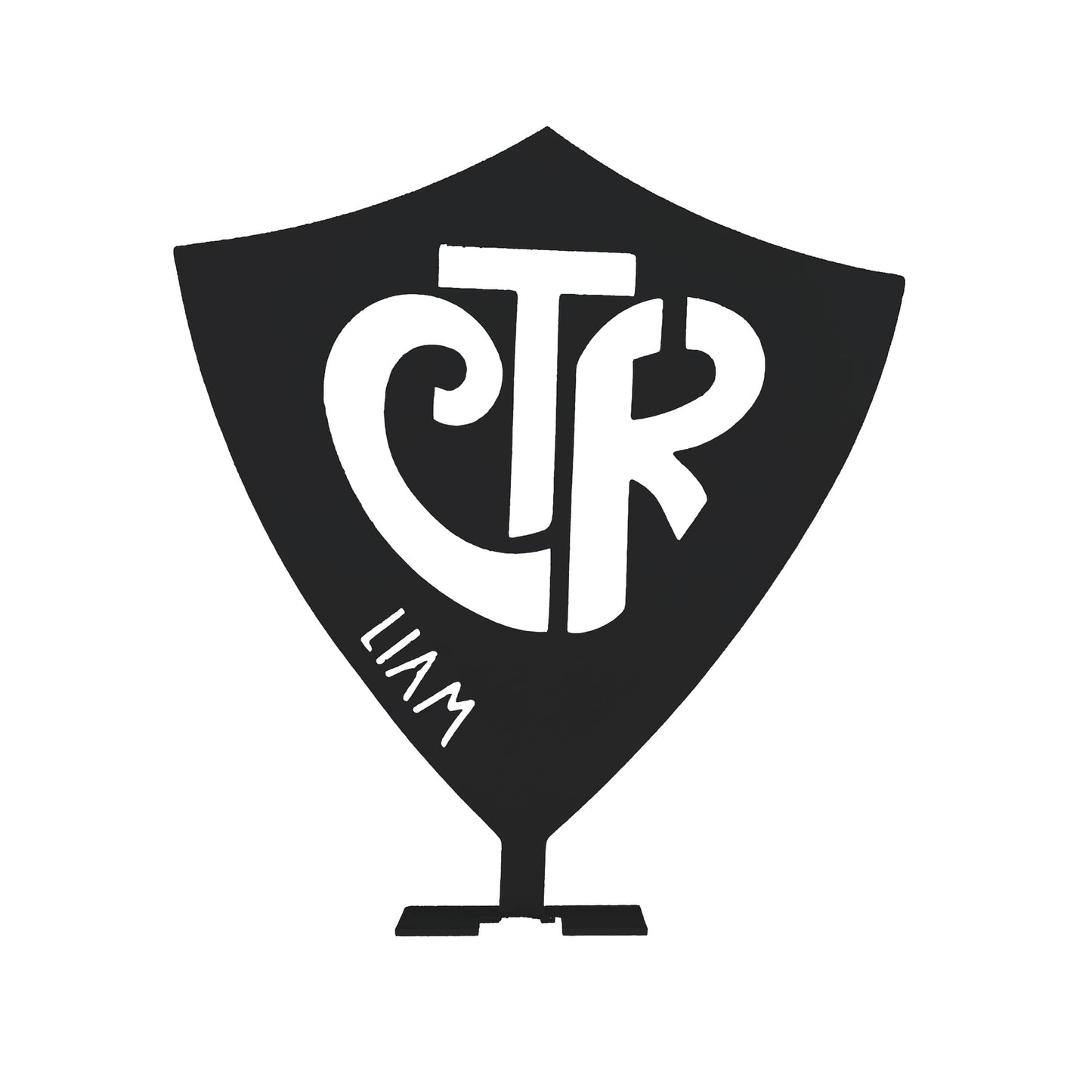 Choose the Right Stand Up Shield With Name - CTR Custom Metal Sign Baptism Boy and Girl Gifts