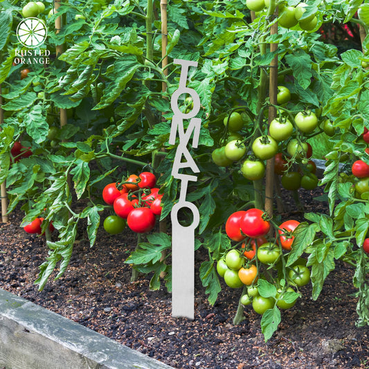 Spell it Out Personalized Metal Garden Plant Markers - 80 Plant Varieties