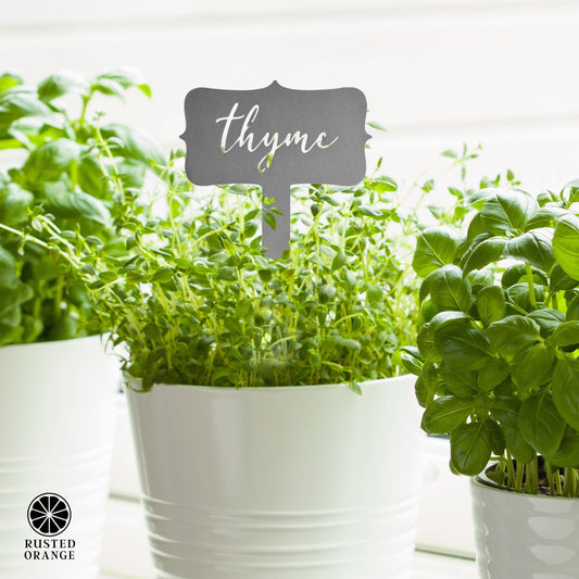 Window Garden Markers - Your Favorite 5 - Herb Garden Plant Identification Stakes