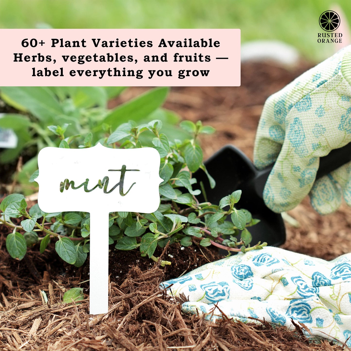 Window Garden Markers - Your Favorite 5 - Herb Garden Plant Identification Stakes