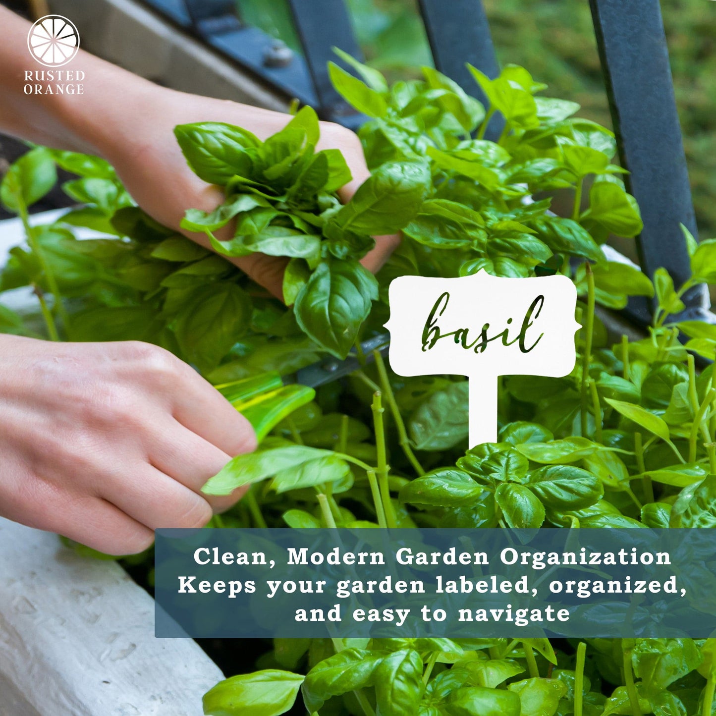 Window Garden Markers - Your Favorite 5 - Herb Garden Plant Identification Stakes