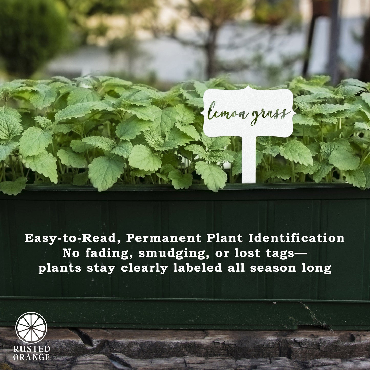 Window Garden Markers - Single - Herb Garden Plant Identification Stakes