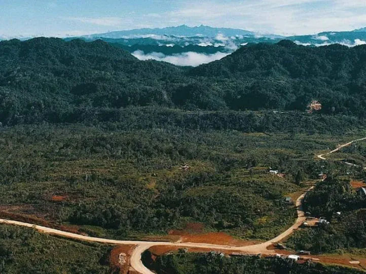 Papua New Guinea Chimbu Microlot, Light Roast - Special Release