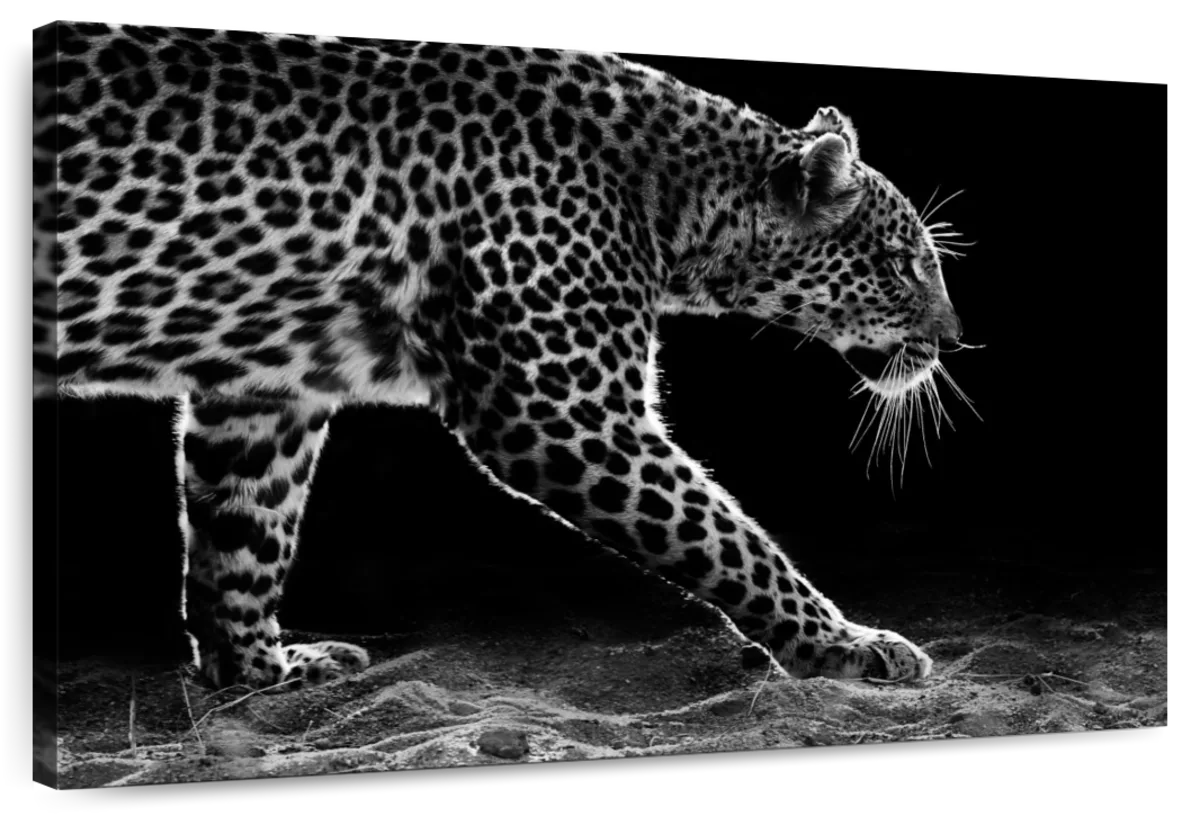 Walking Leopard Wall Art