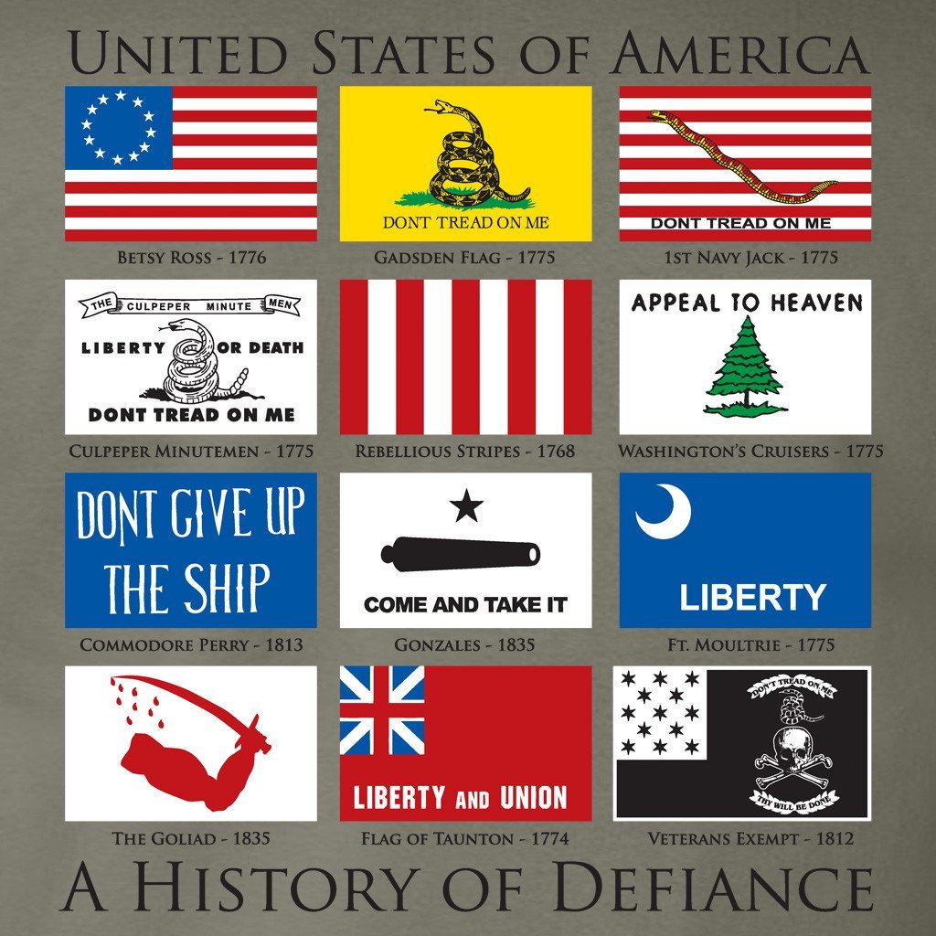 History of Defiance T-Shirt - Sage