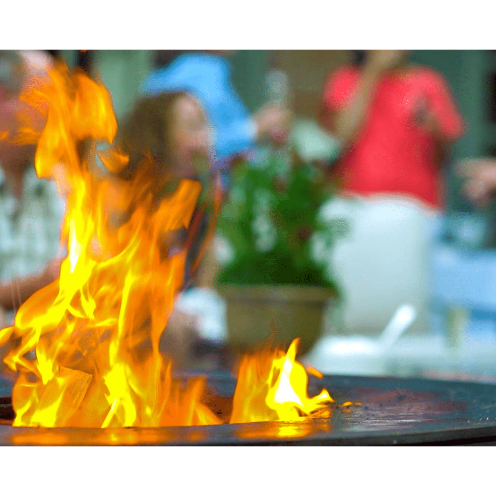 Seasons Fire Pits 22-Inch Tall Round Steel Fire Pit Grill (36CFirePitGrill)