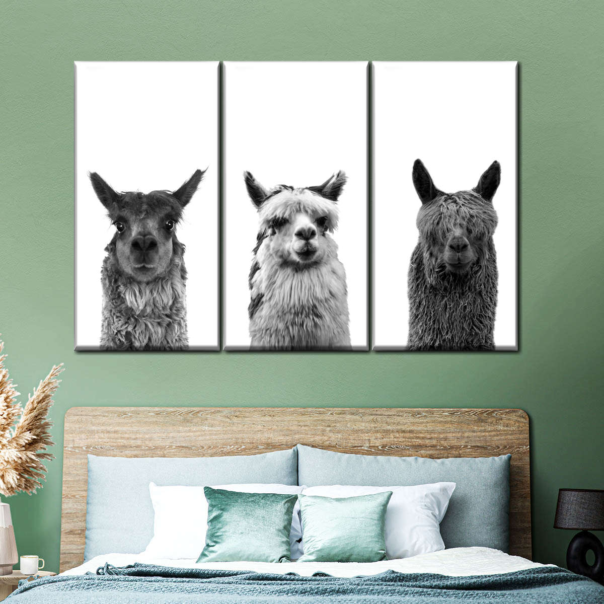 Trio Alpaca Wall Art