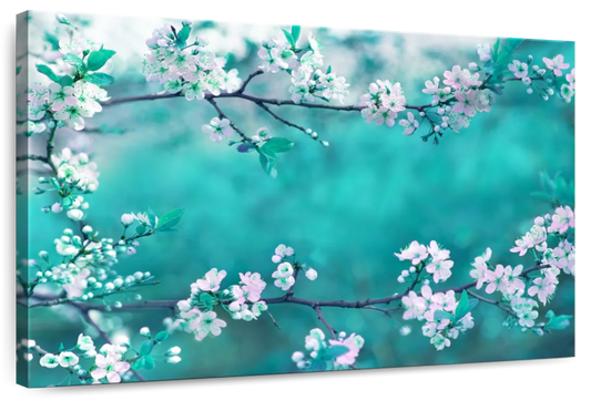 White Cherry Blossoms In Japan Wall Art