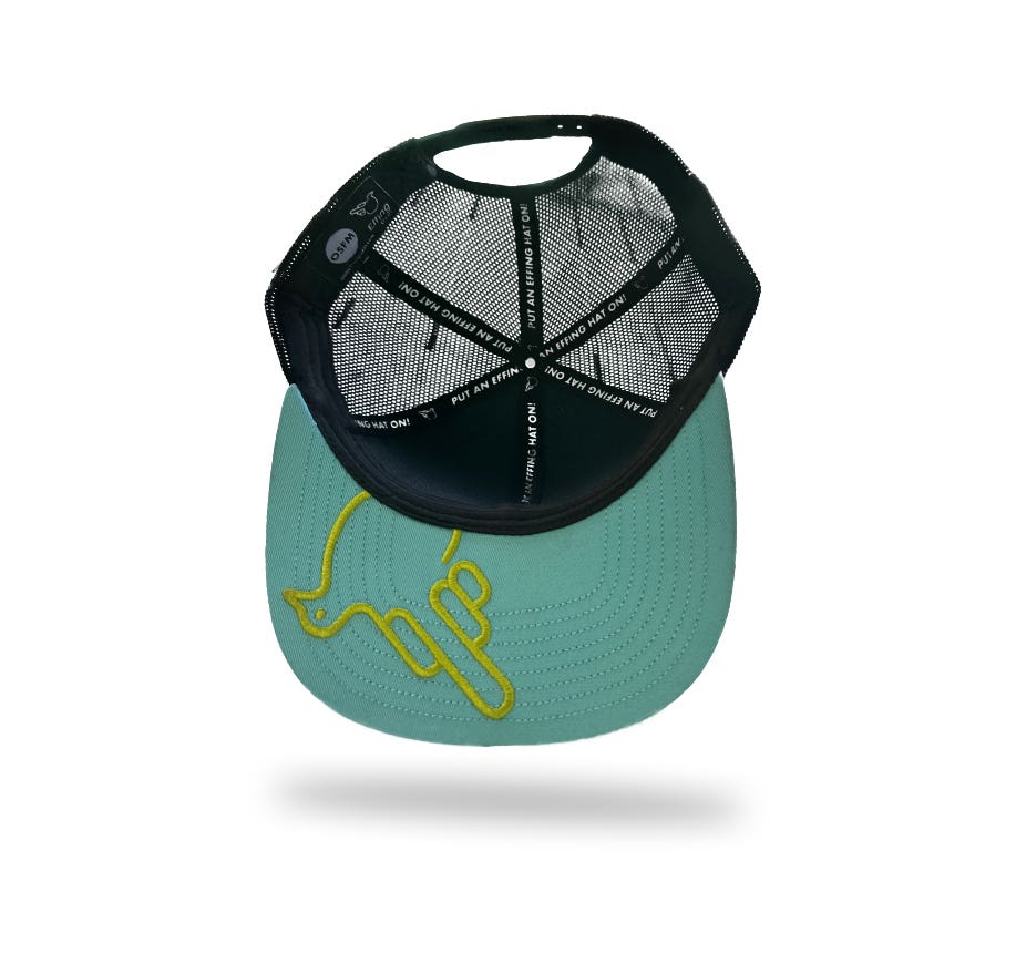 Sky Blue Flat Bill Snap Trucker