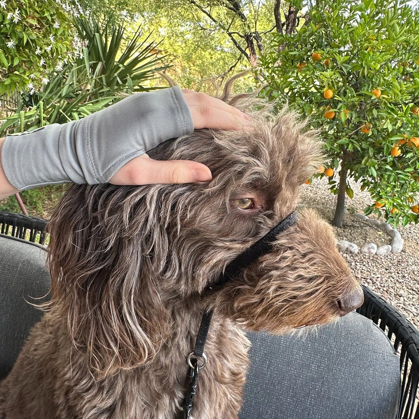 SMOKESHOW FLIPMITS HL