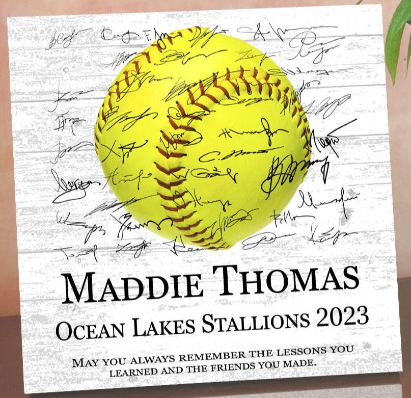 Softball Trophy Plaque - Recognition Award - for Players, Senior Season Gift, MVP or Coaches