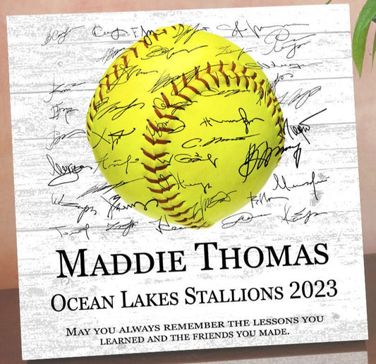 Softball Trophy Plaque - Recognition Award - for Players, Senior Season Gift, MVP or Coaches