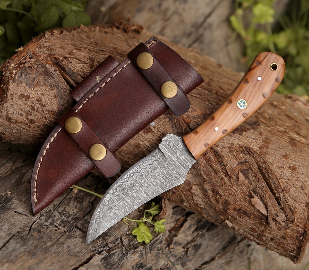Spectral Field Dressing Knife with Olive Wood Handle