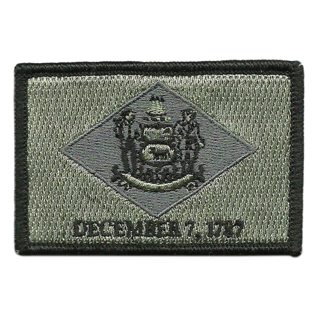 Delaware - Tactical State Patch