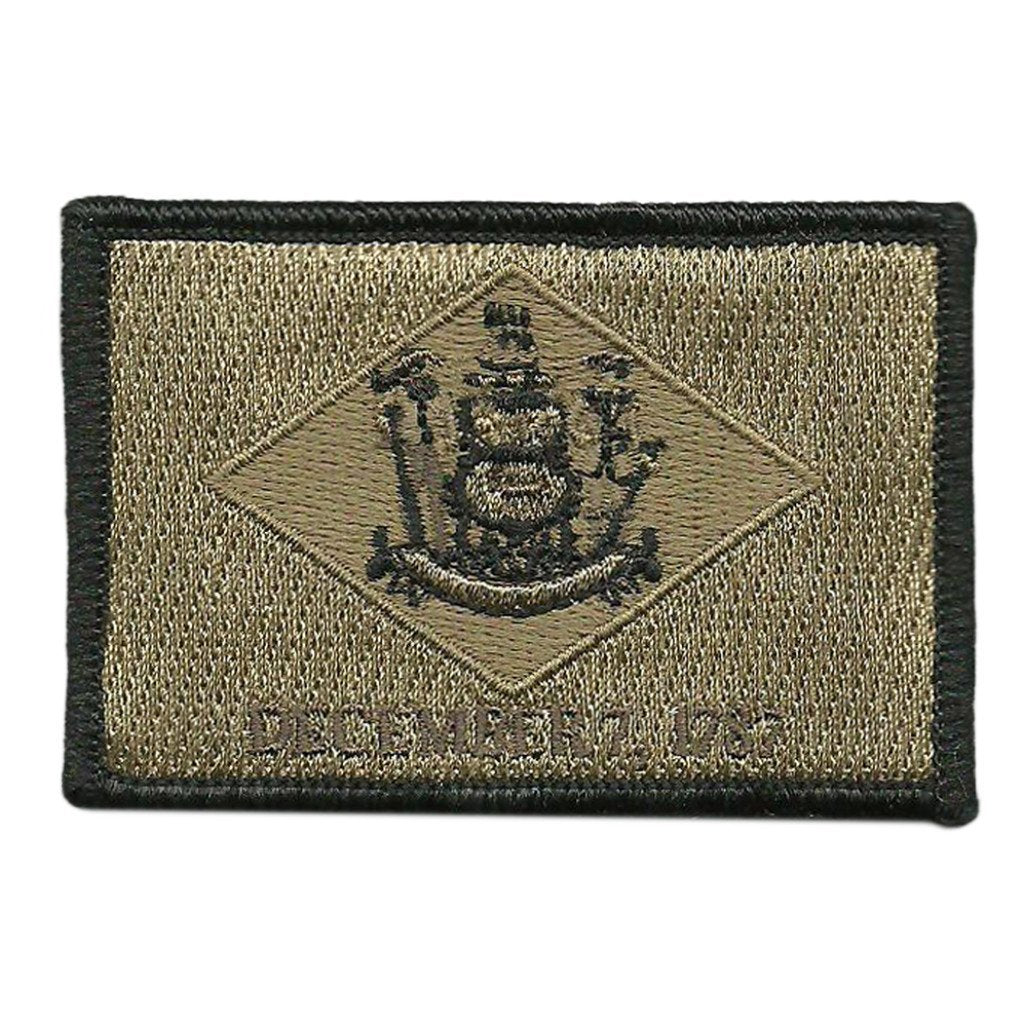 Delaware - Tactical State Patch