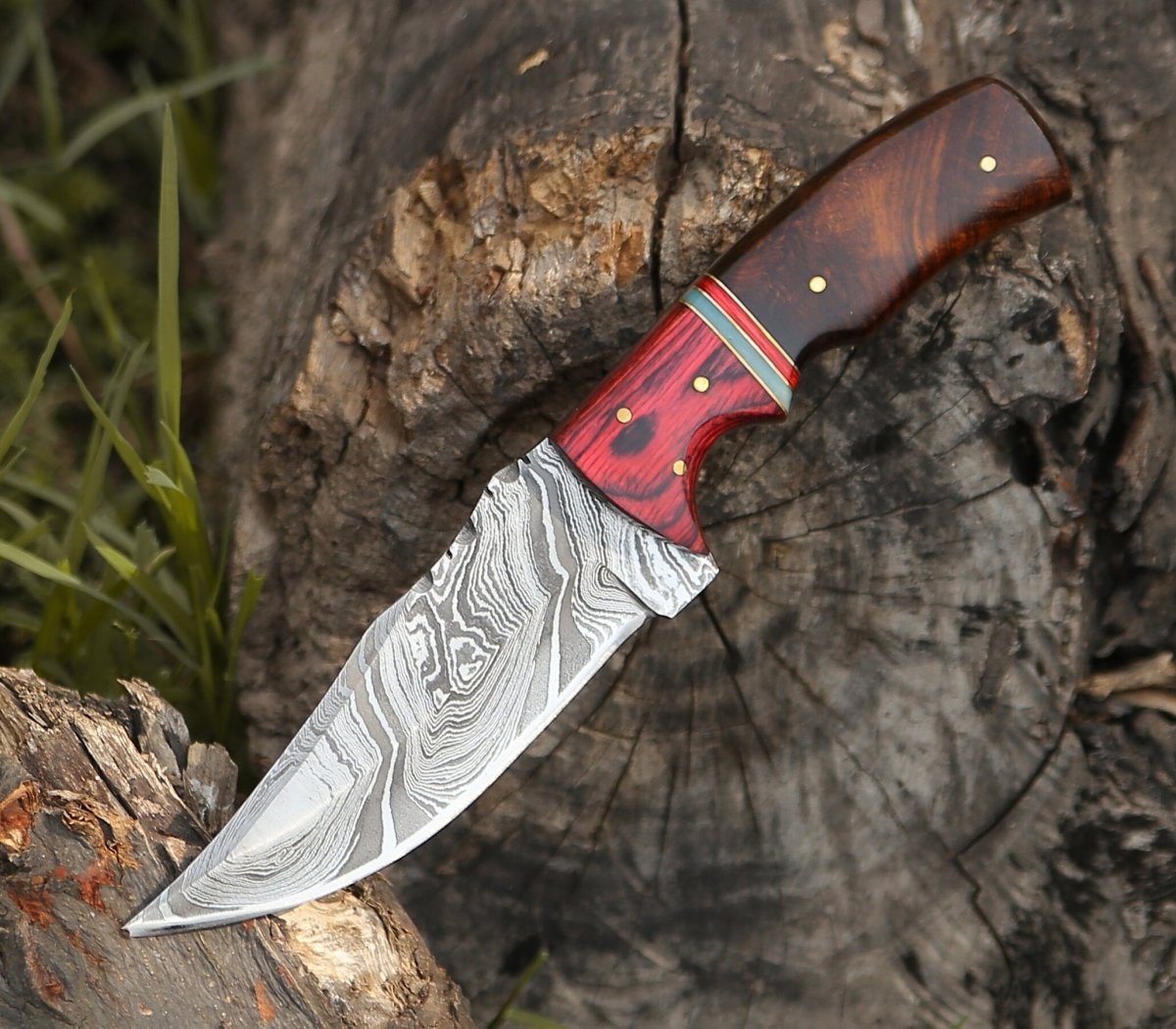 Sting Damascus Hunting Knife with Rosewood Handle
