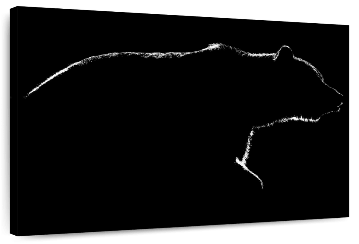 Bear Contour Wall Art