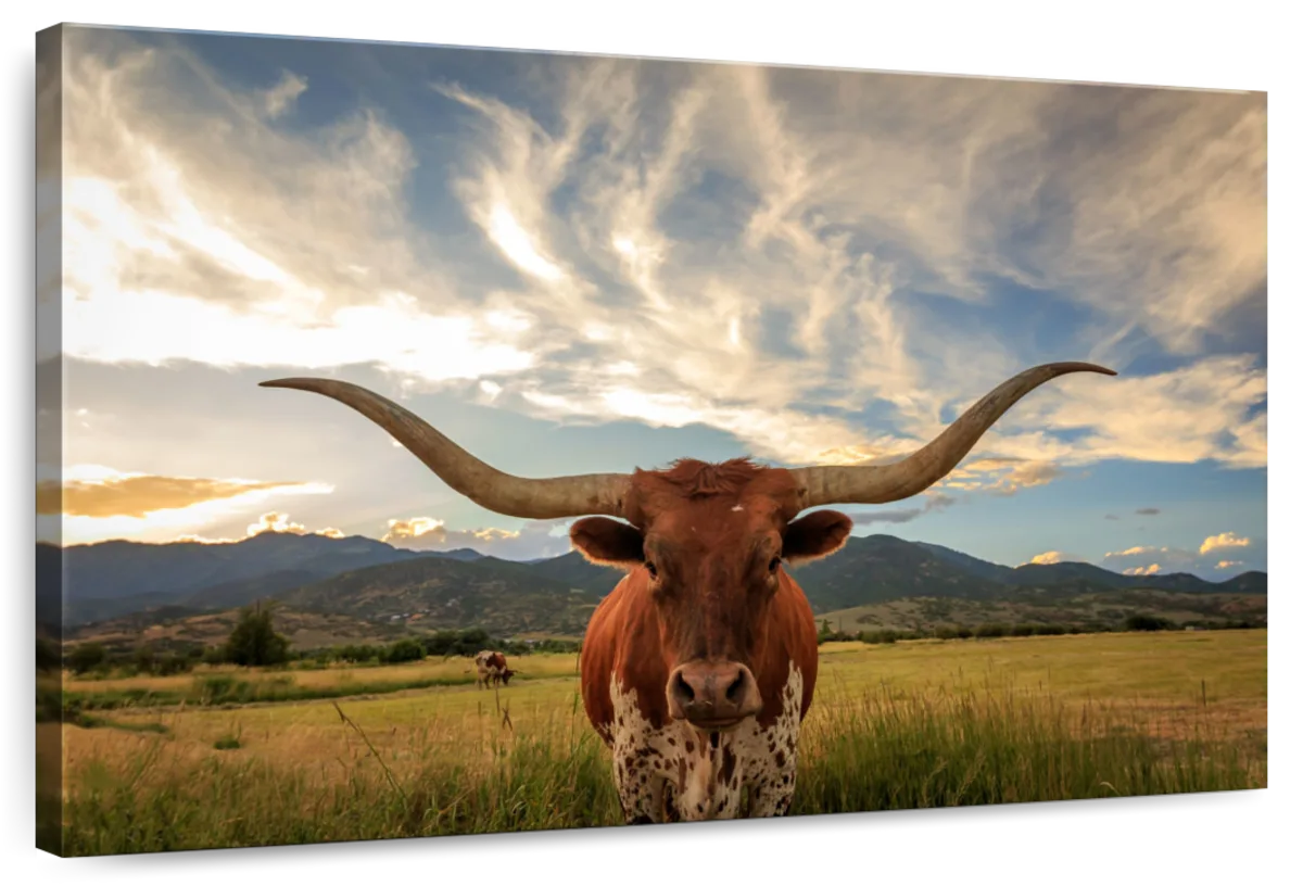 Mighty Longhorn Wall Art