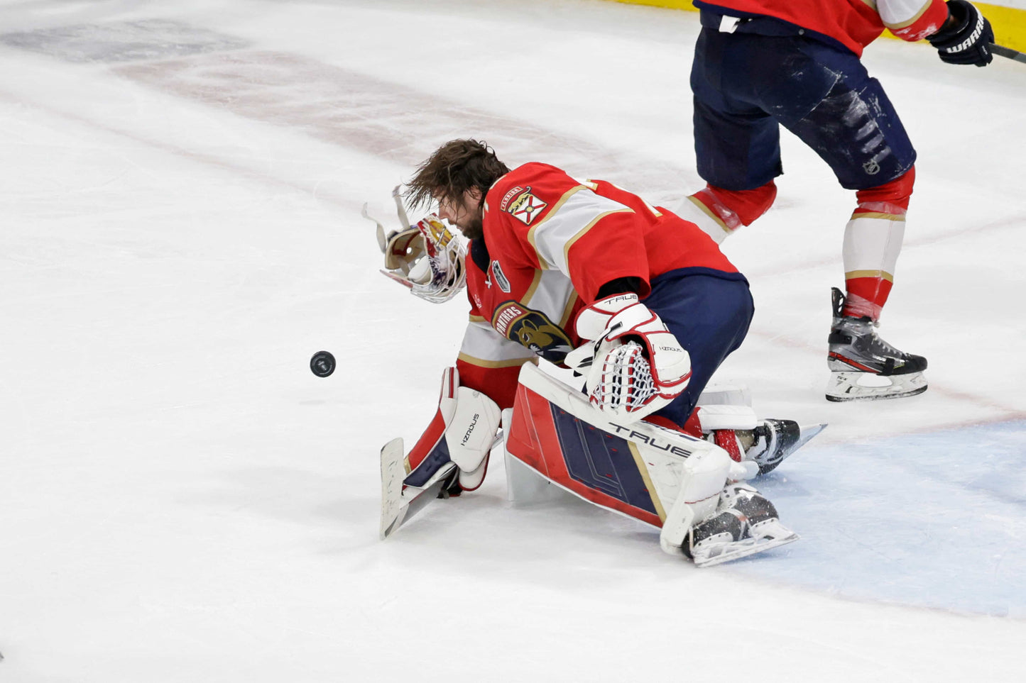 Redemption: Florida Panthers Finally Break Through to Win Their First Stanley Cup
