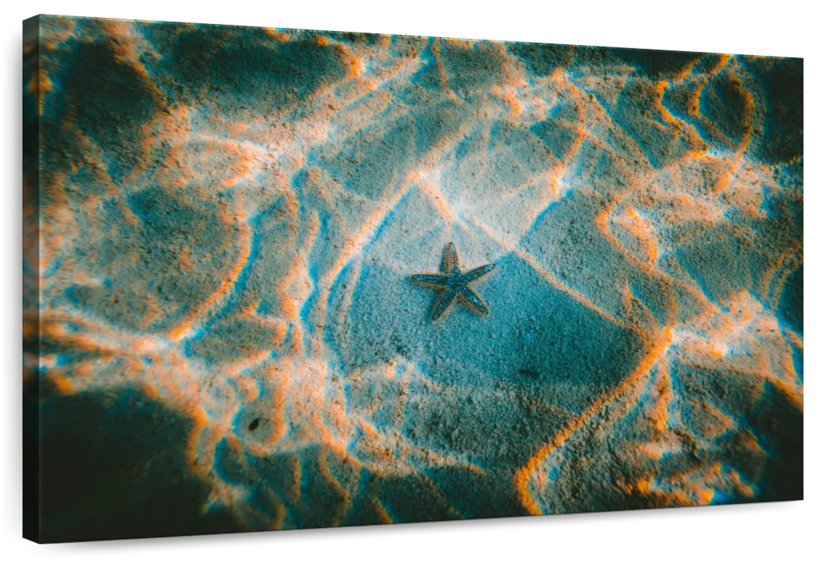 Sandy Underwater Starfish Wall Art