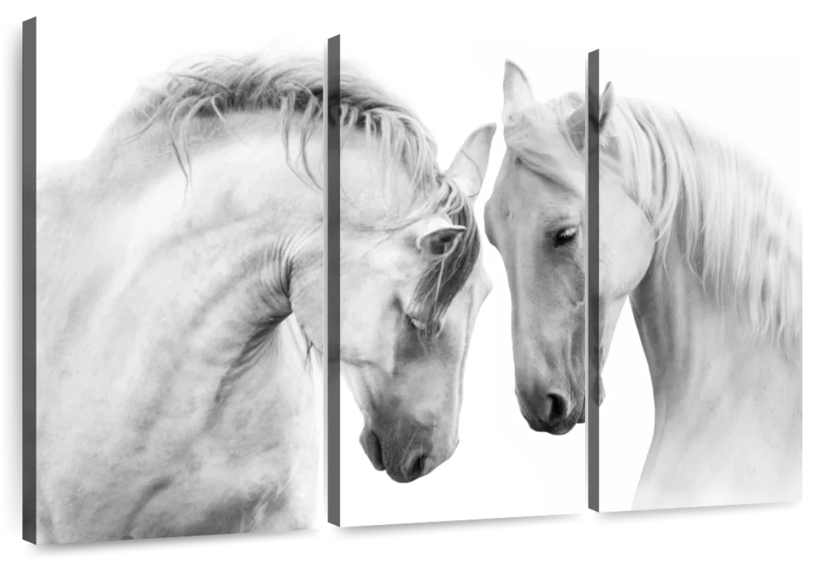 White Horse Couple Wall Art