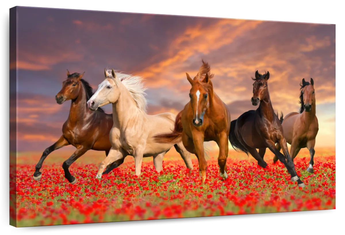 Mustang Horses Wall Art