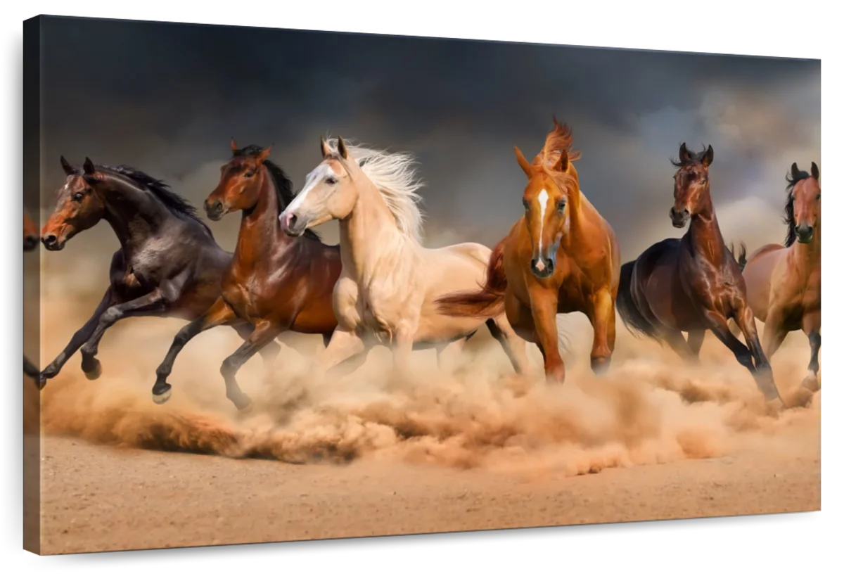 Desert Roaming Horses Wall Art