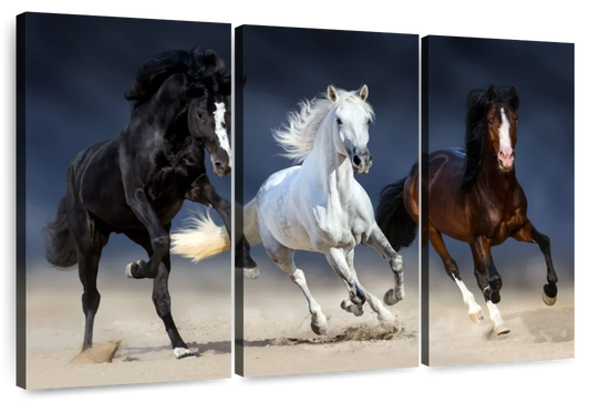 Wild Colorful Horses Wall Art