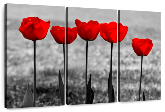 Five Red Tulips Wall Art