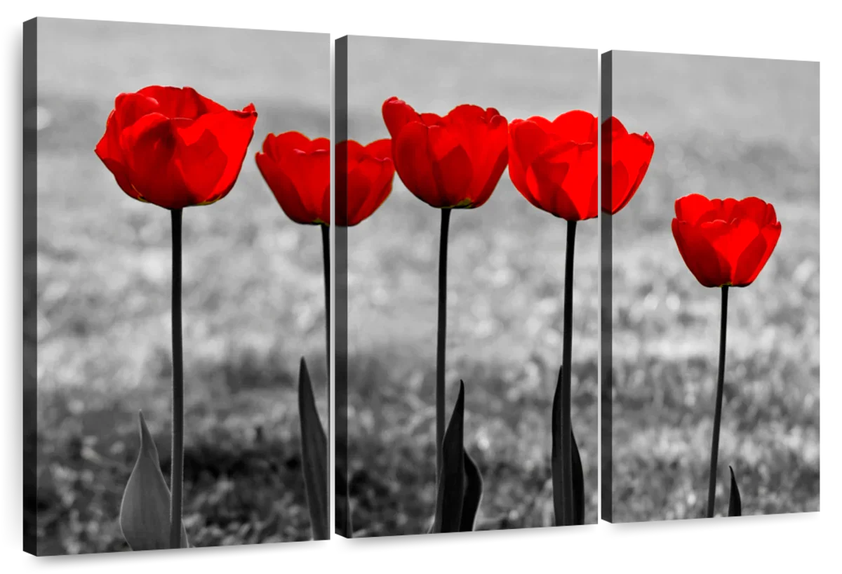Five Red Tulips Wall Art