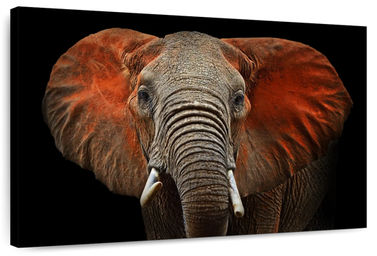 Elephant Portrait Wall Art