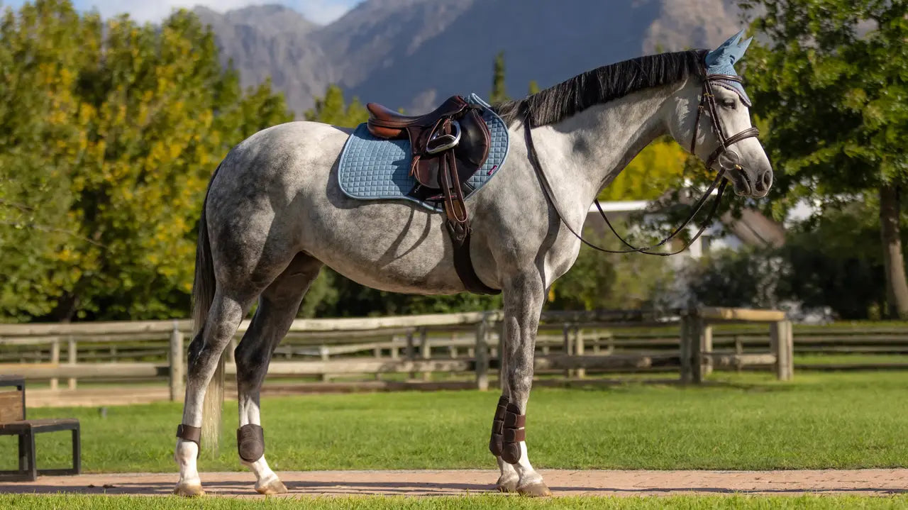 LeMieux Suede Close Contact Square Saddle Pad