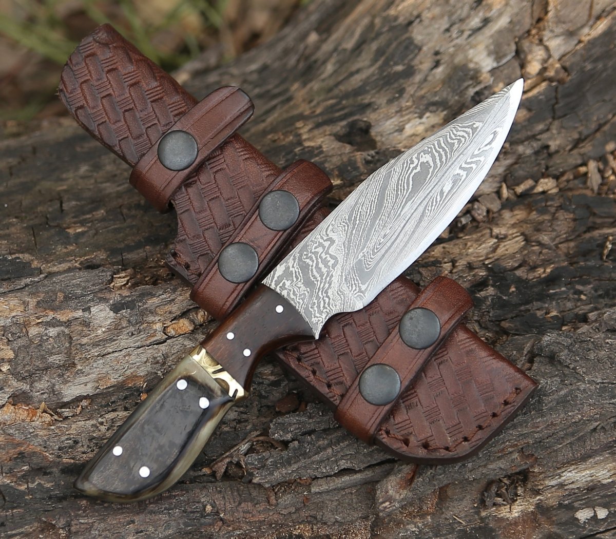 Trailseeker Every Day Carry Knife with Ram Horn & Rosewood Handle