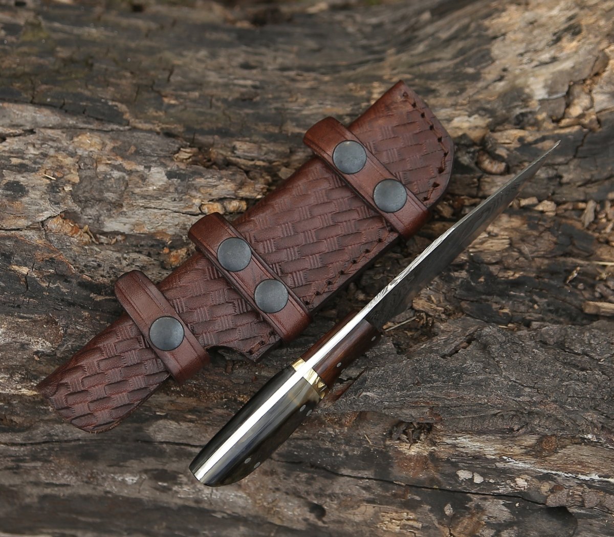 Trailseeker Every Day Carry Knife with Ram Horn & Rosewood Handle