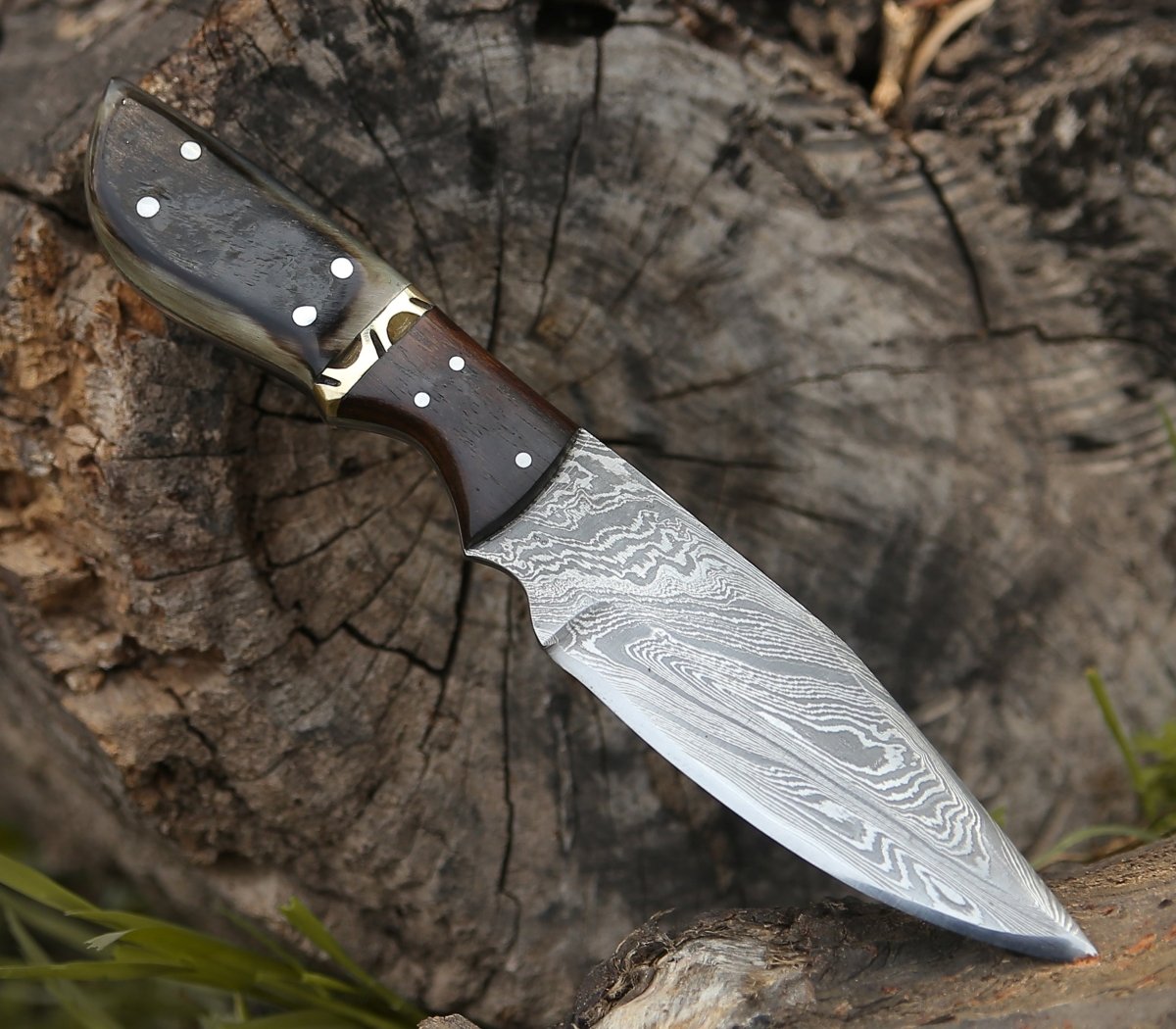 Trailseeker Every Day Carry Knife with Ram Horn & Rosewood Handle