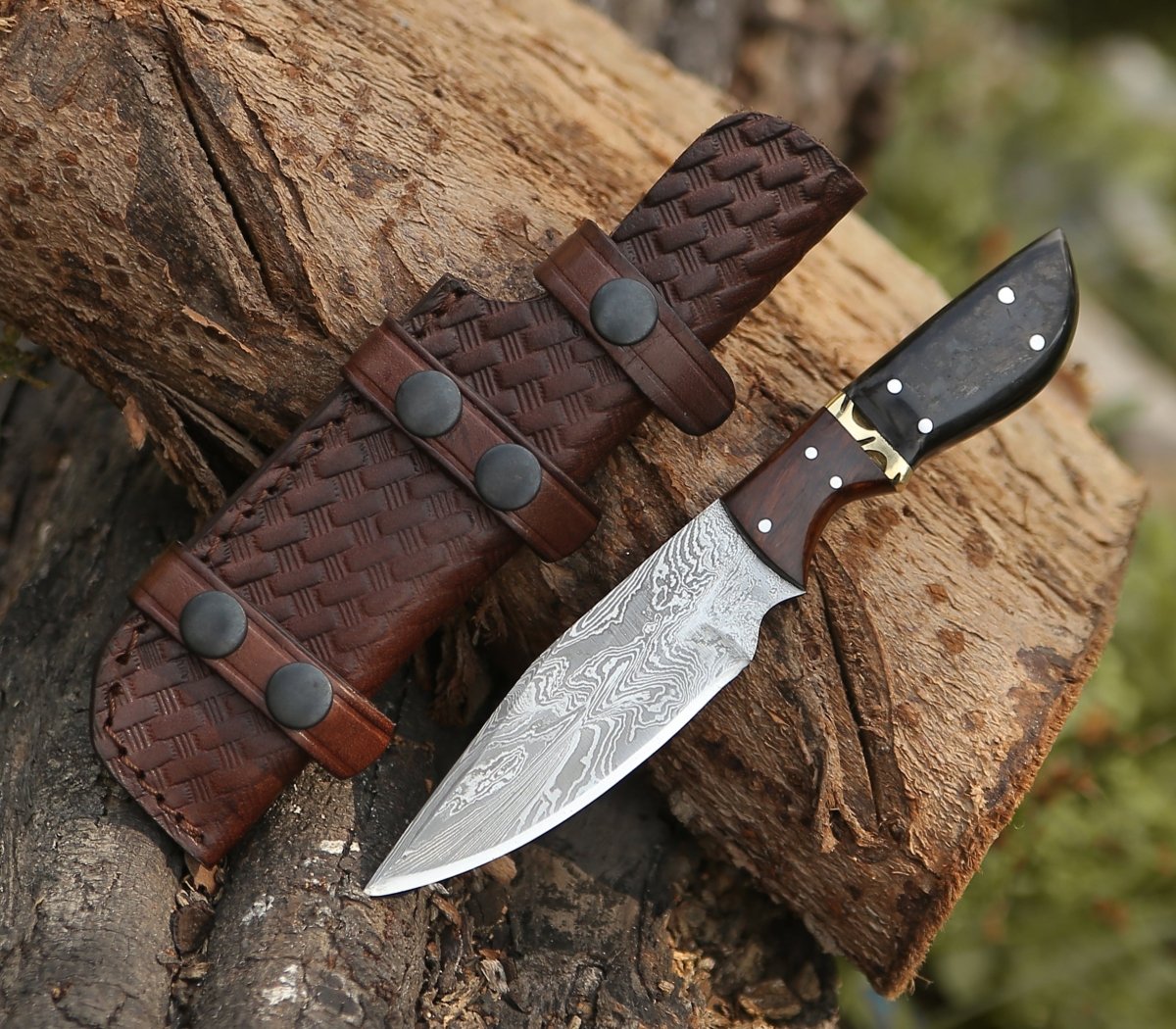 Trailseeker Every Day Carry Knife with Ram Horn & Rosewood Handle