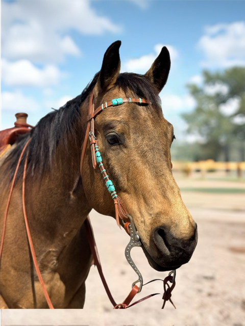 Turquoise Rawhide Light Oil Browband Headstall