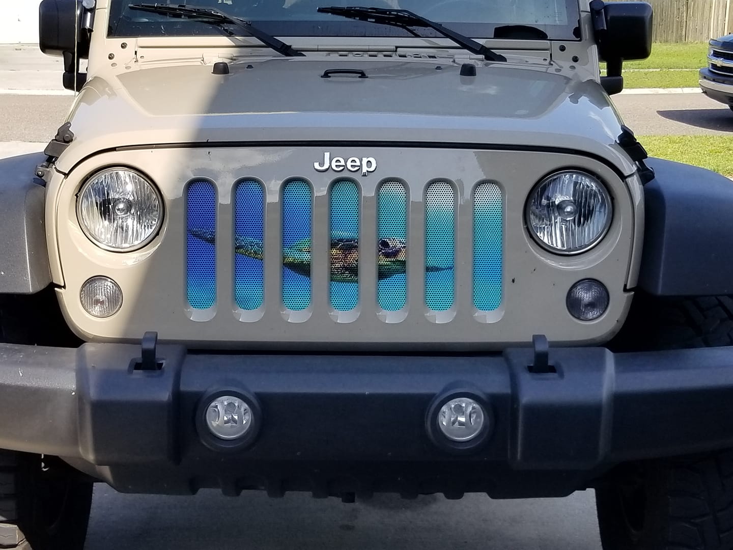 Turtles Collection Grille Inserts