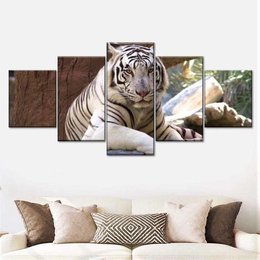 Resting White Tiger Wall Art