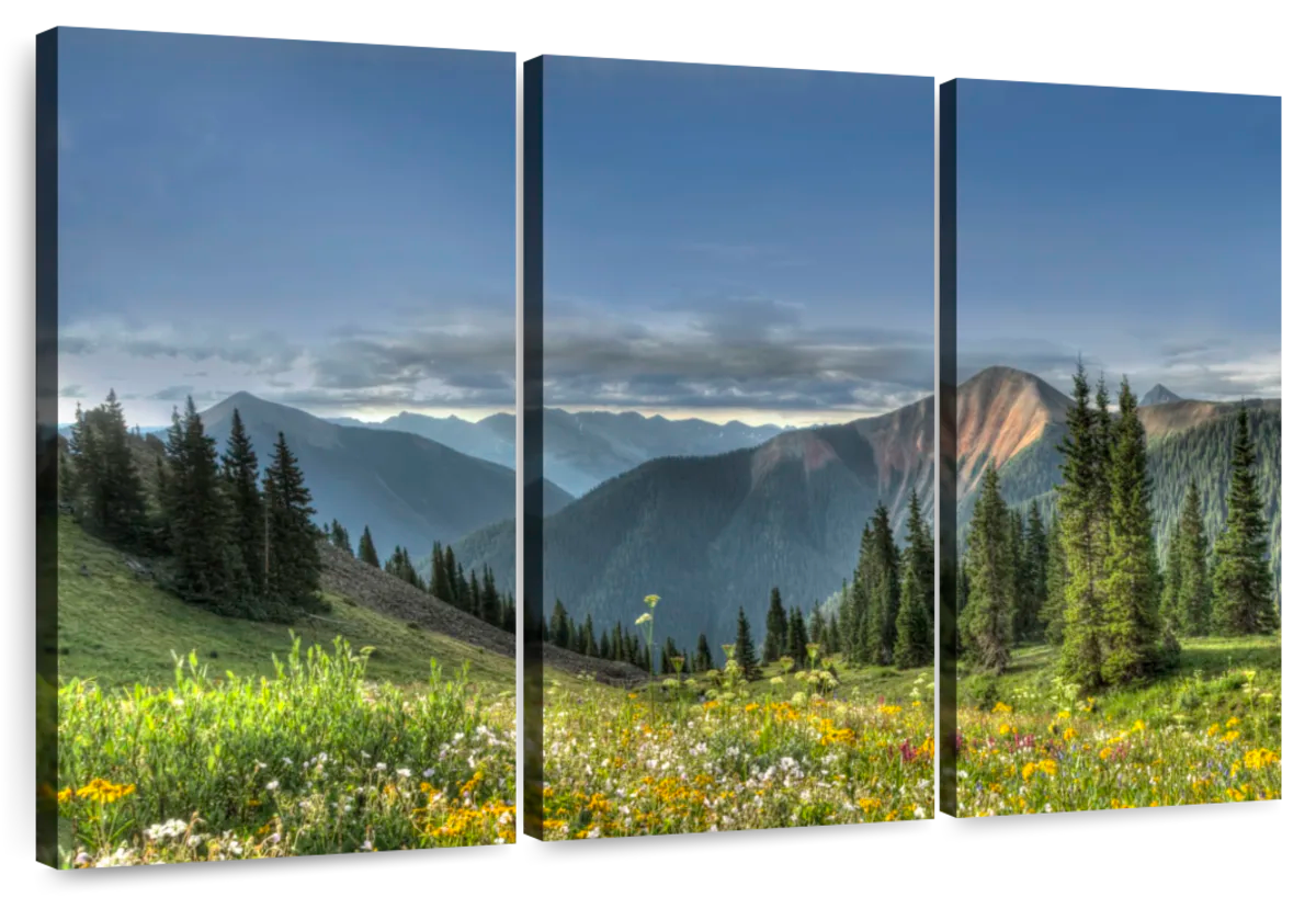 Rocky Mountain National Park Meadow Wall Art