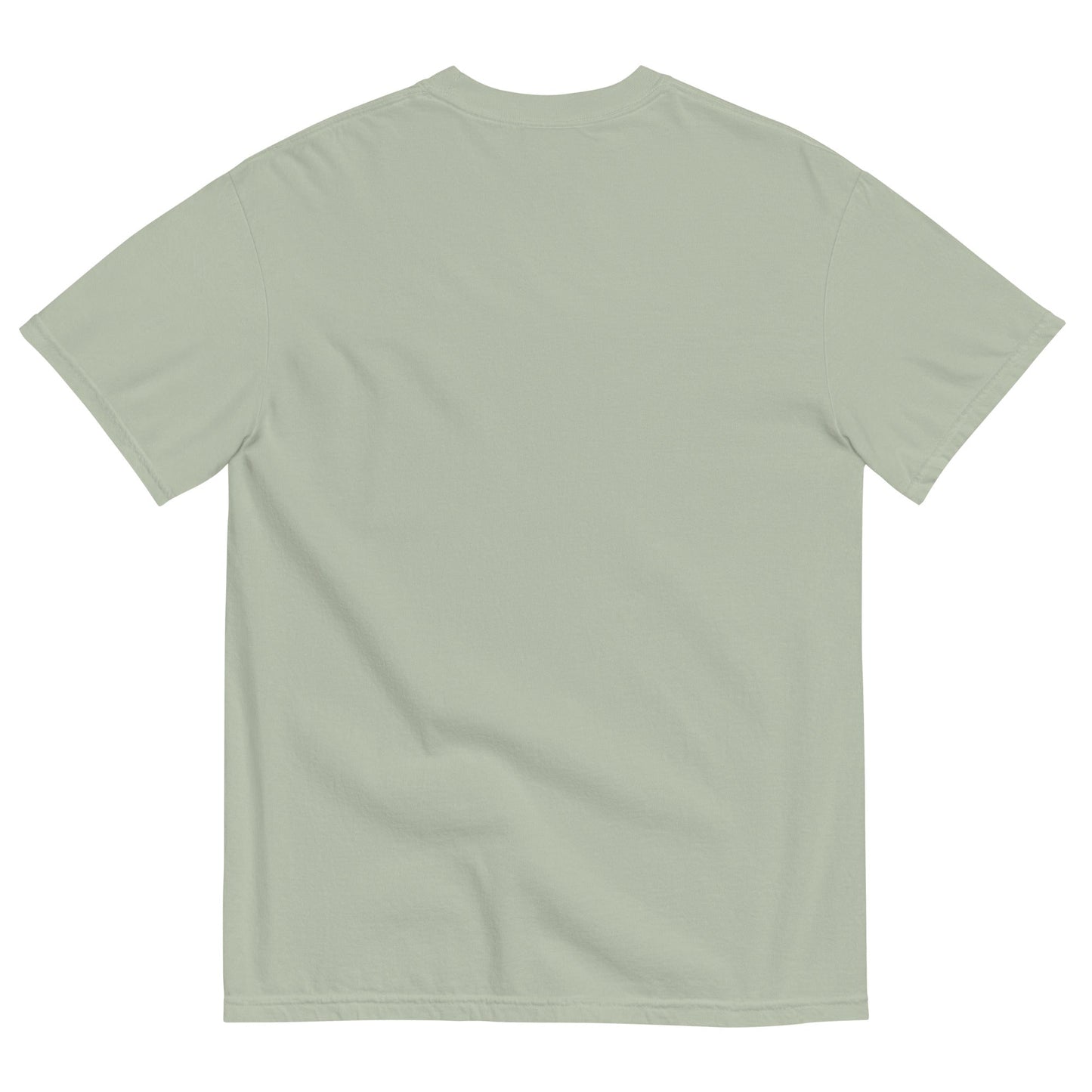 Discipline Bestows Liberty Heavyweight Graphic T-Shirt