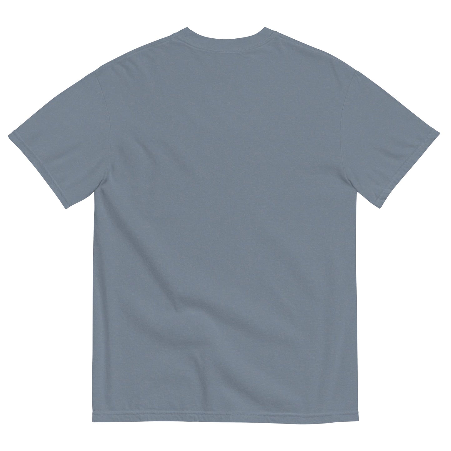 Discipline Bestows Liberty Heavyweight Graphic T-Shirt