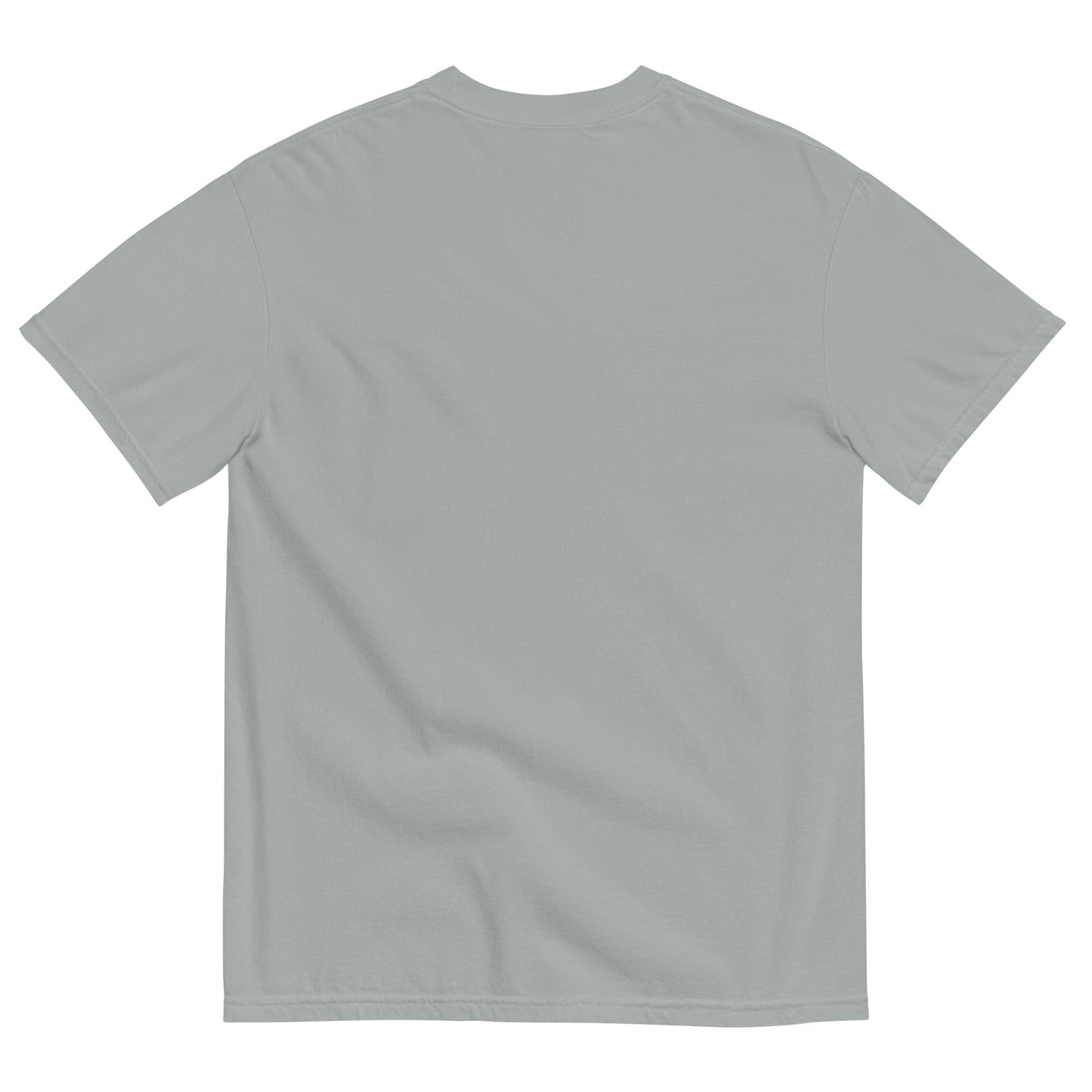 Discipline Bestows Liberty Heavyweight Graphic T-Shirt