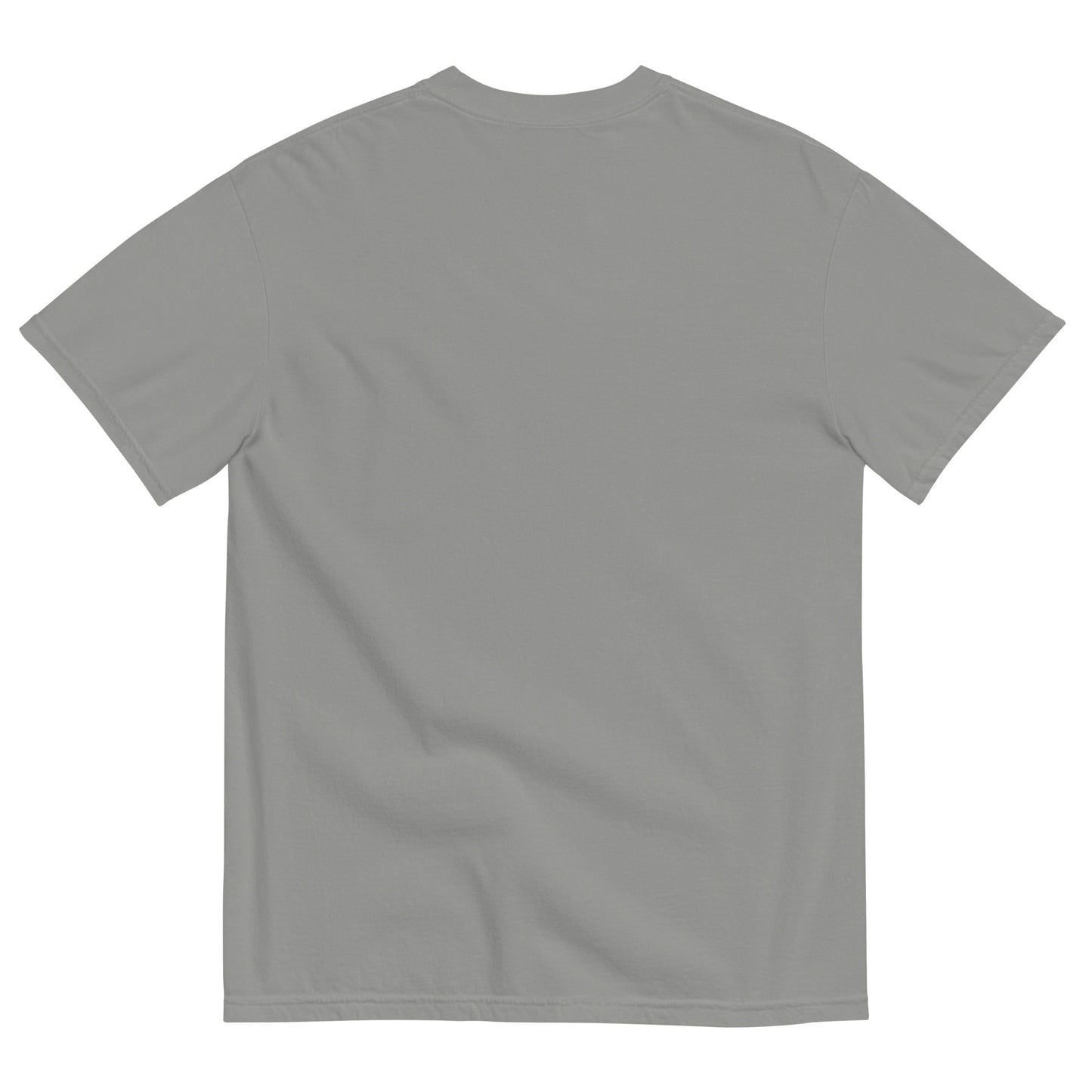 Discipline Bestows Liberty Heavyweight Graphic T-Shirt