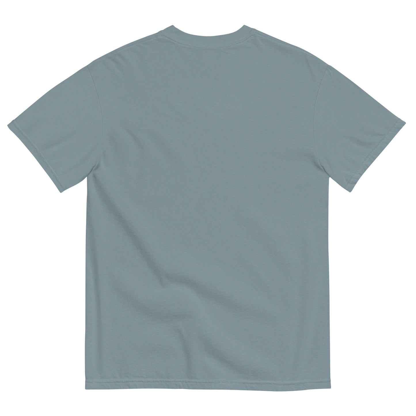 Discipline Bestows Liberty Heavyweight Graphic T-Shirt