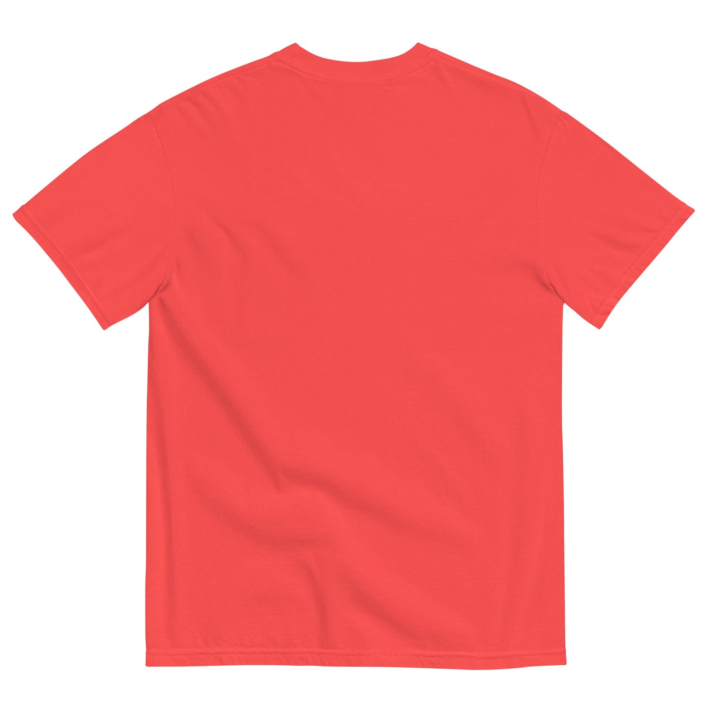 Discipline Bestows Liberty Heavyweight Graphic T-Shirt