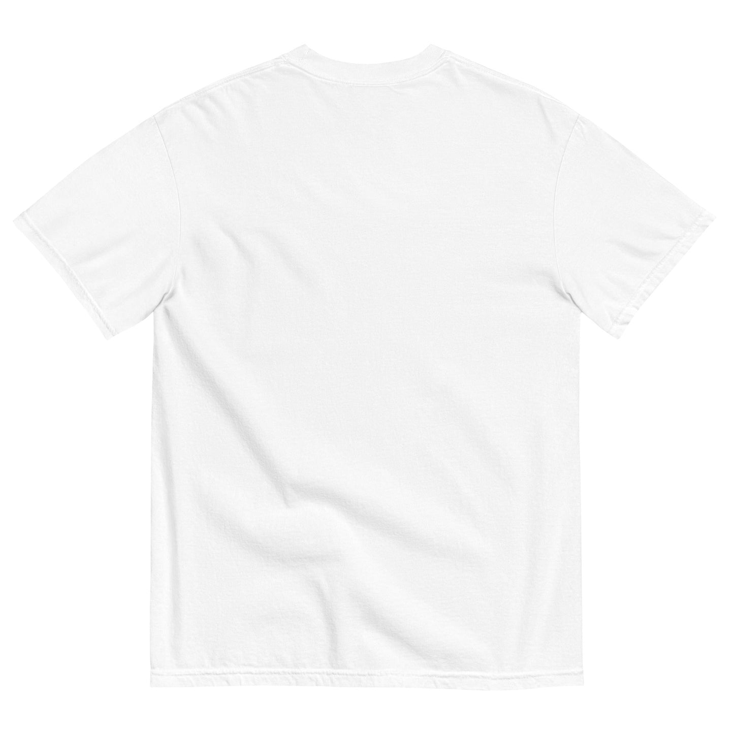 Discipline Bestows Liberty Heavyweight Graphic T-Shirt