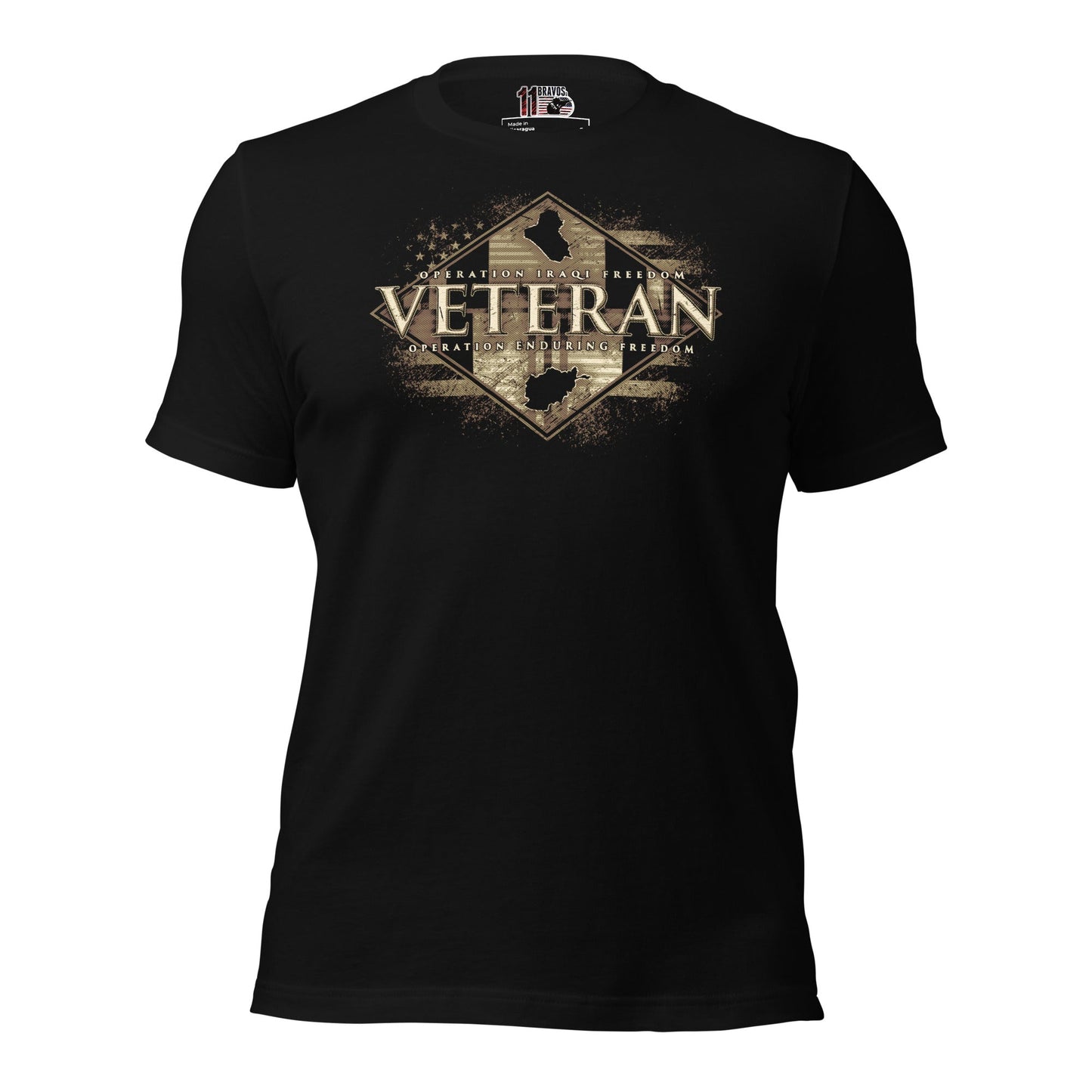 OIF and OEF Veterans